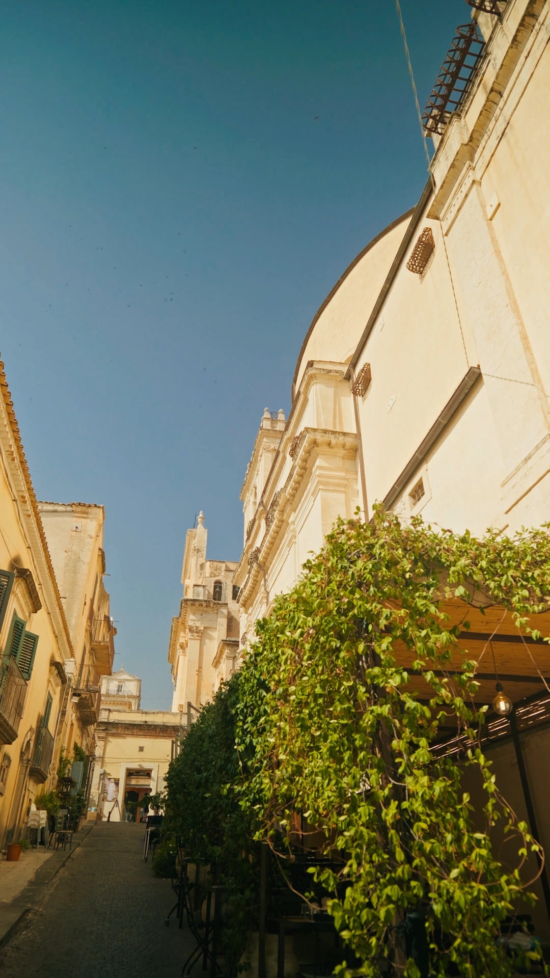 Orto di Santa Chiara - Image 13