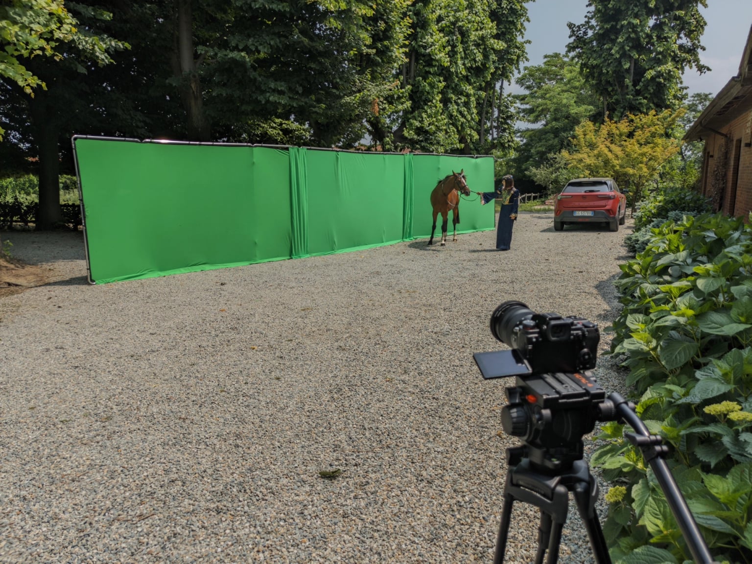 Macello Horse VFX - Image 2