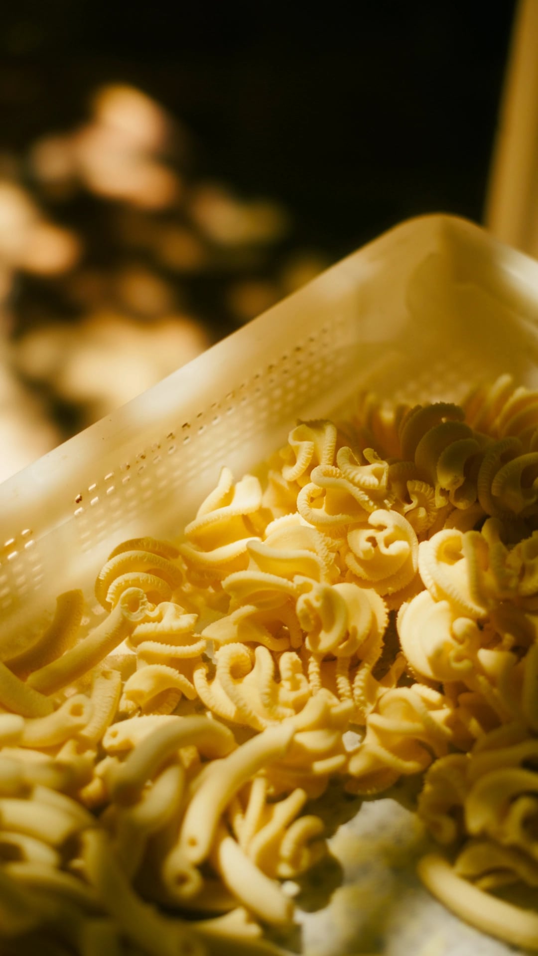 Making of Pasta - Image 5