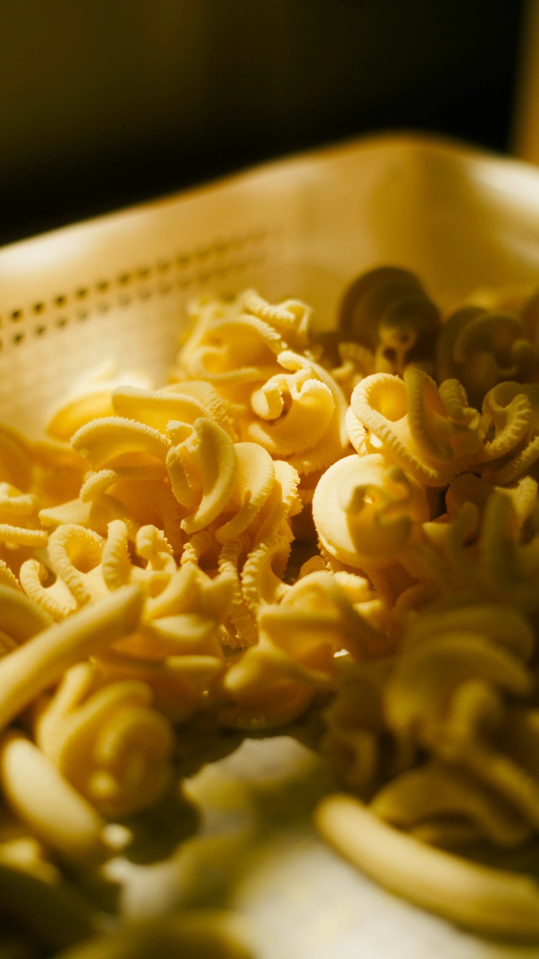 Making of Pasta - Image 18