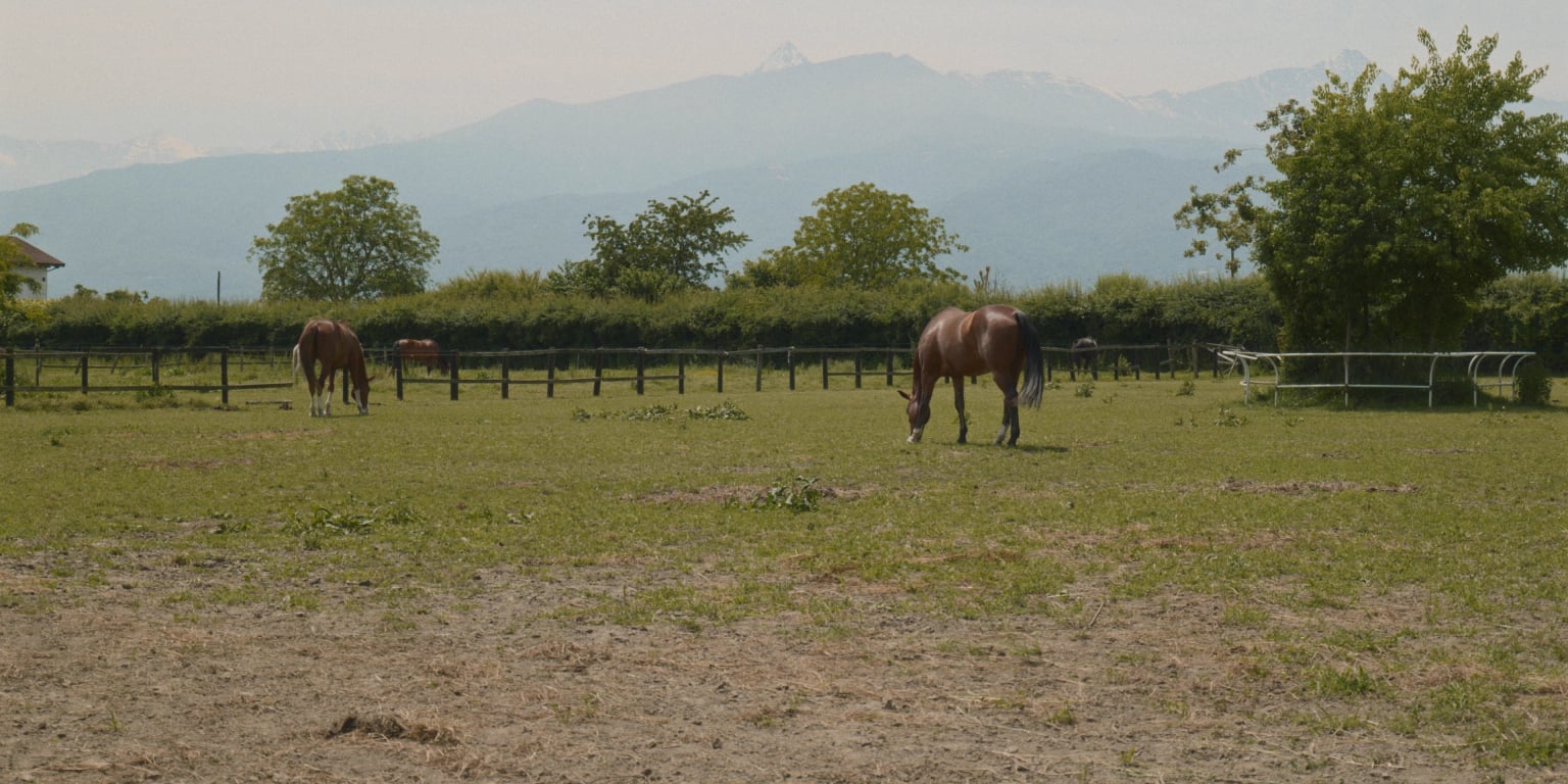Macello Horse BTS - Image 1