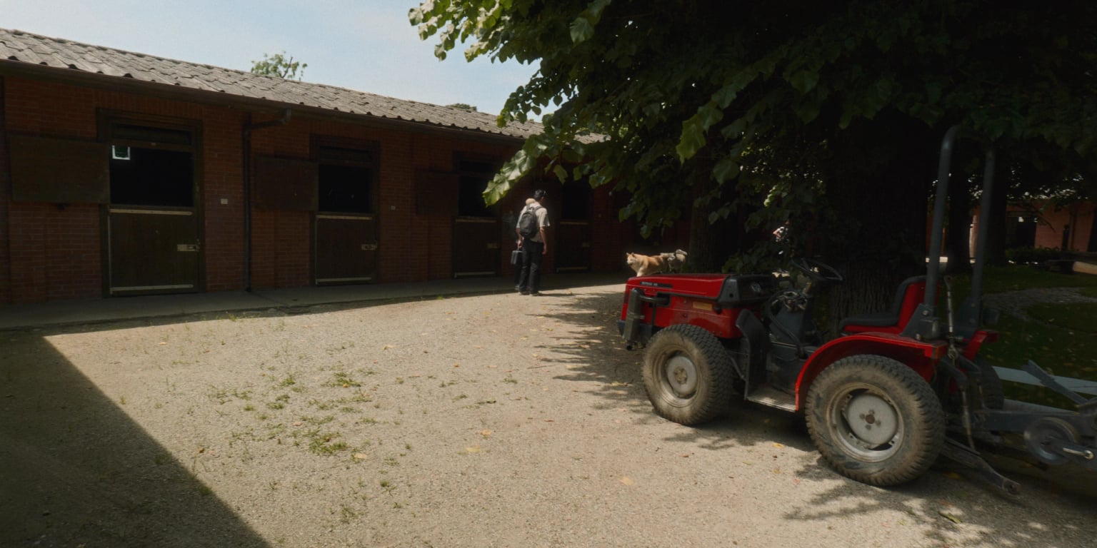 Macello Horse BTS - Image 8
