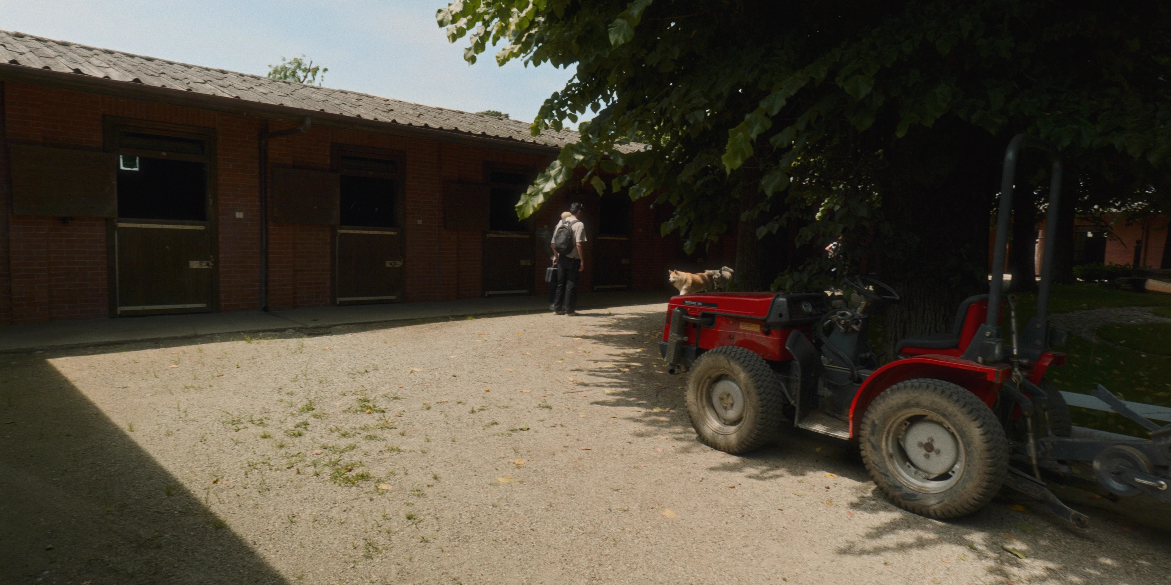 Macello Horse BTS detail 16