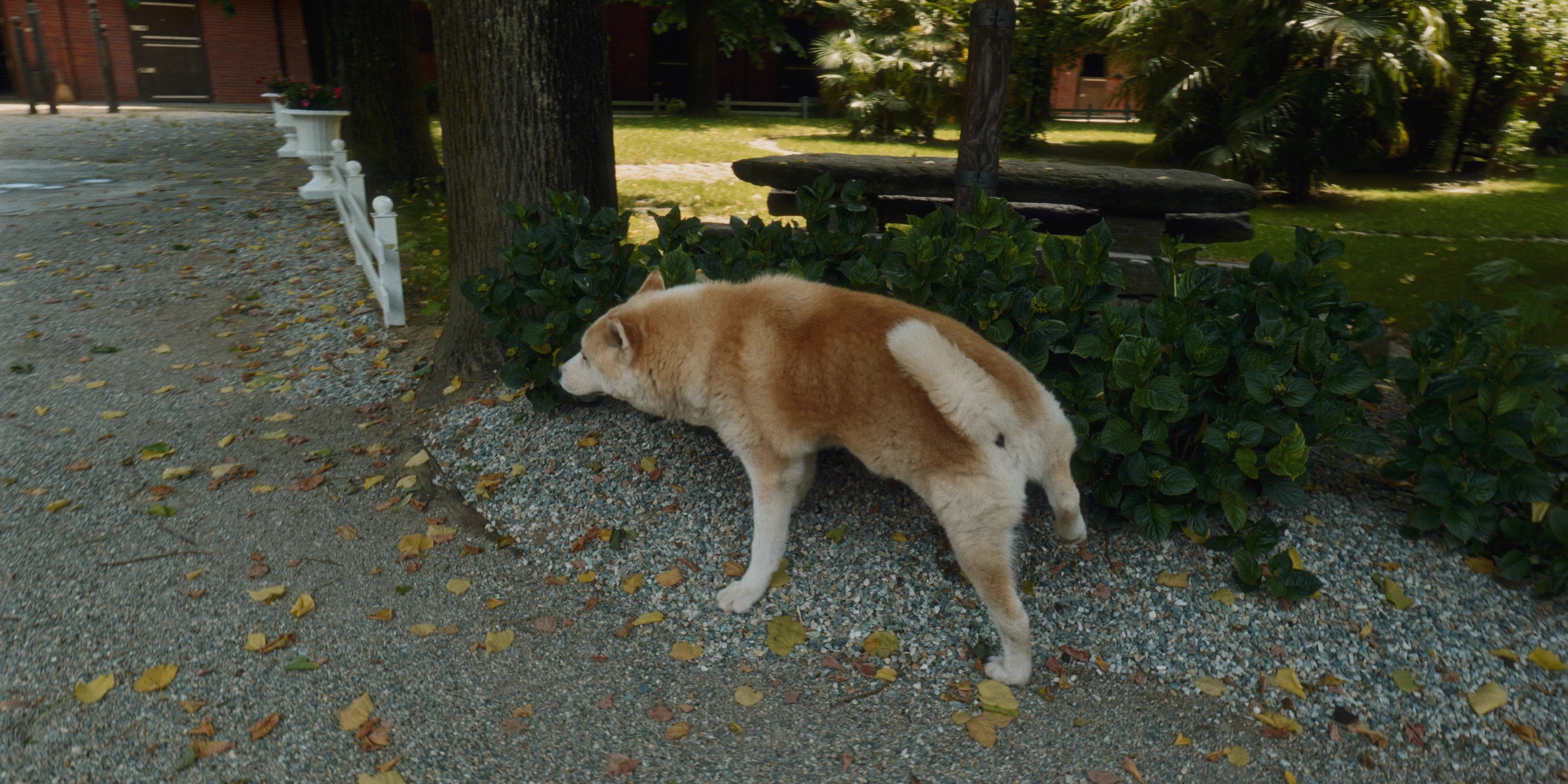 Macello Horse BTS detail 17