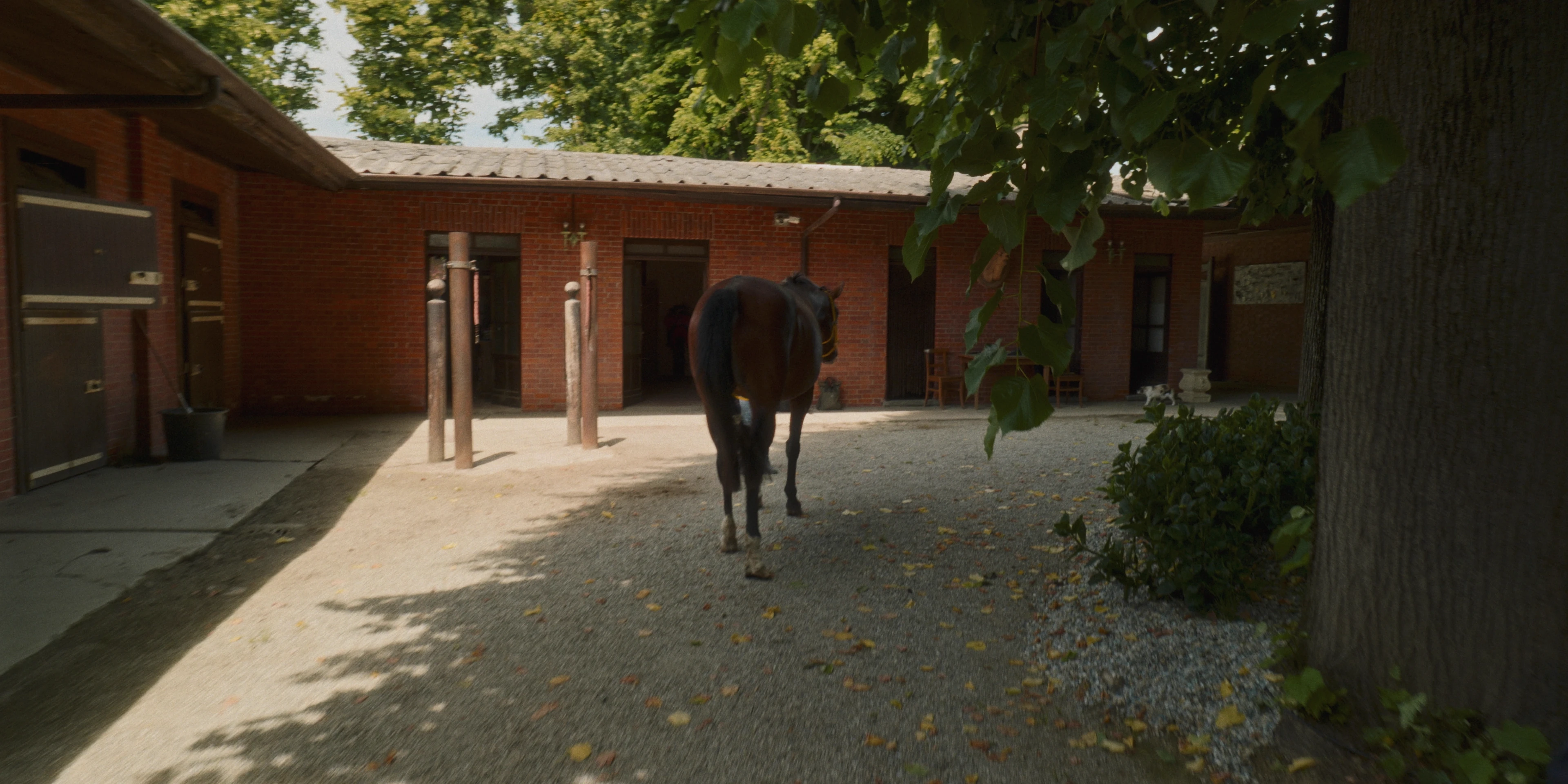 Macello Horse BTS detail 18