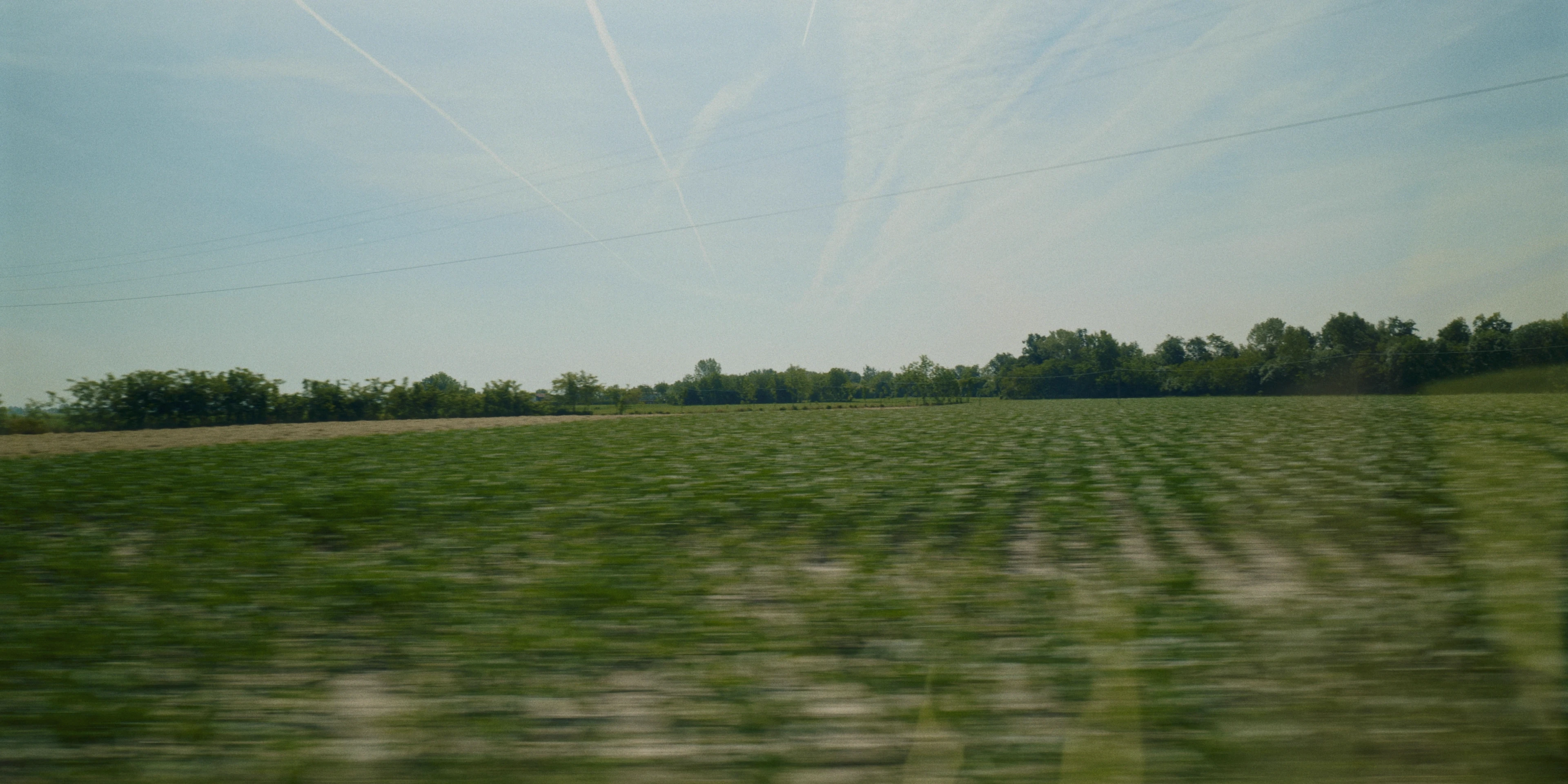 Macello Horse BTS detail 27