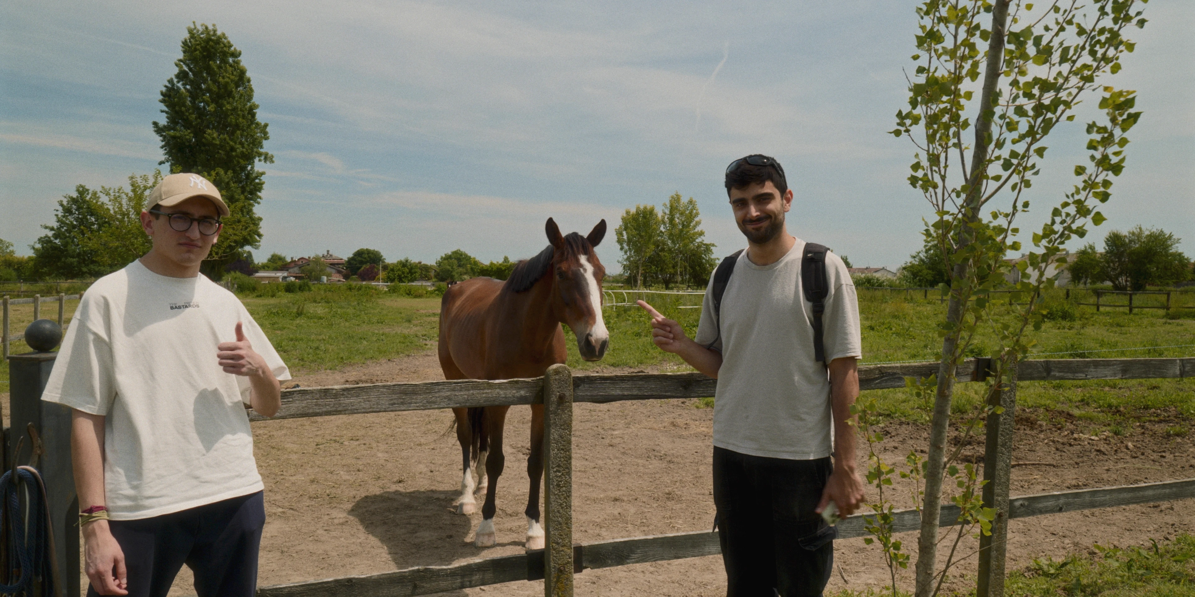 Macello Horse BTS detail 3