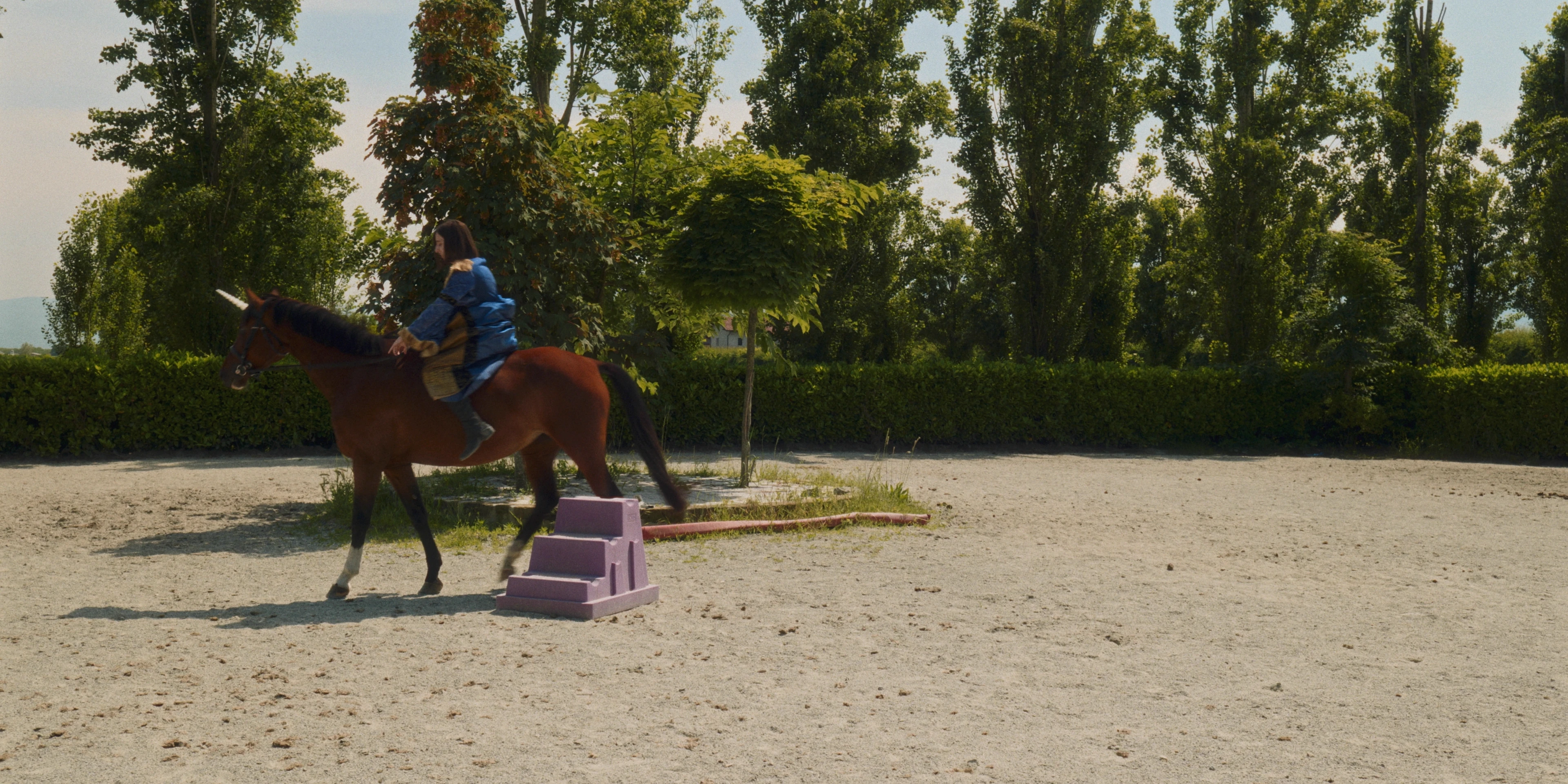 Macello Horse BTS detail 4