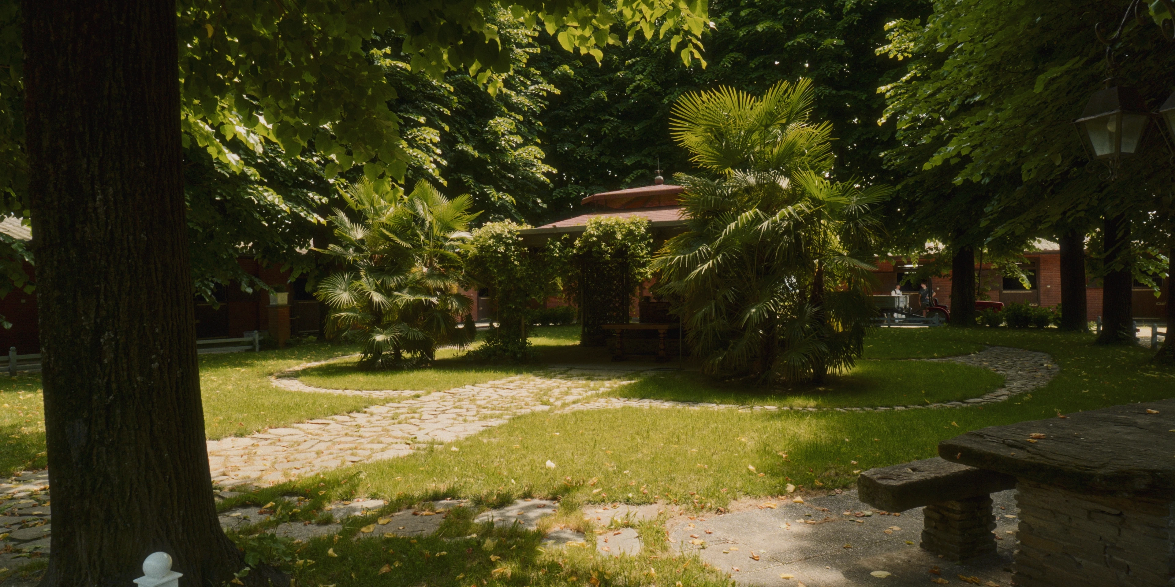 Macello Horse BTS detail 6