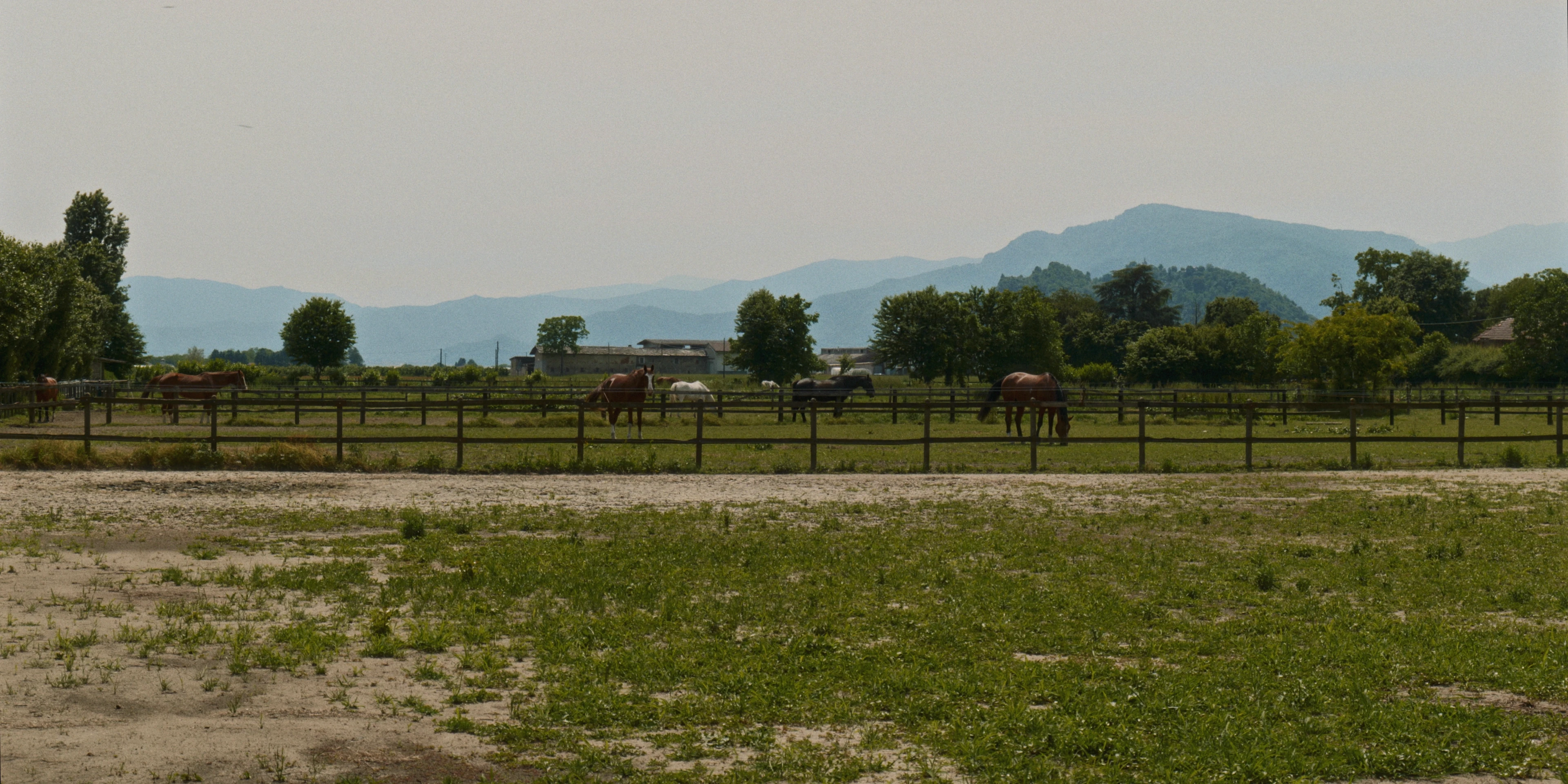 Macello Horse BTS detail 7