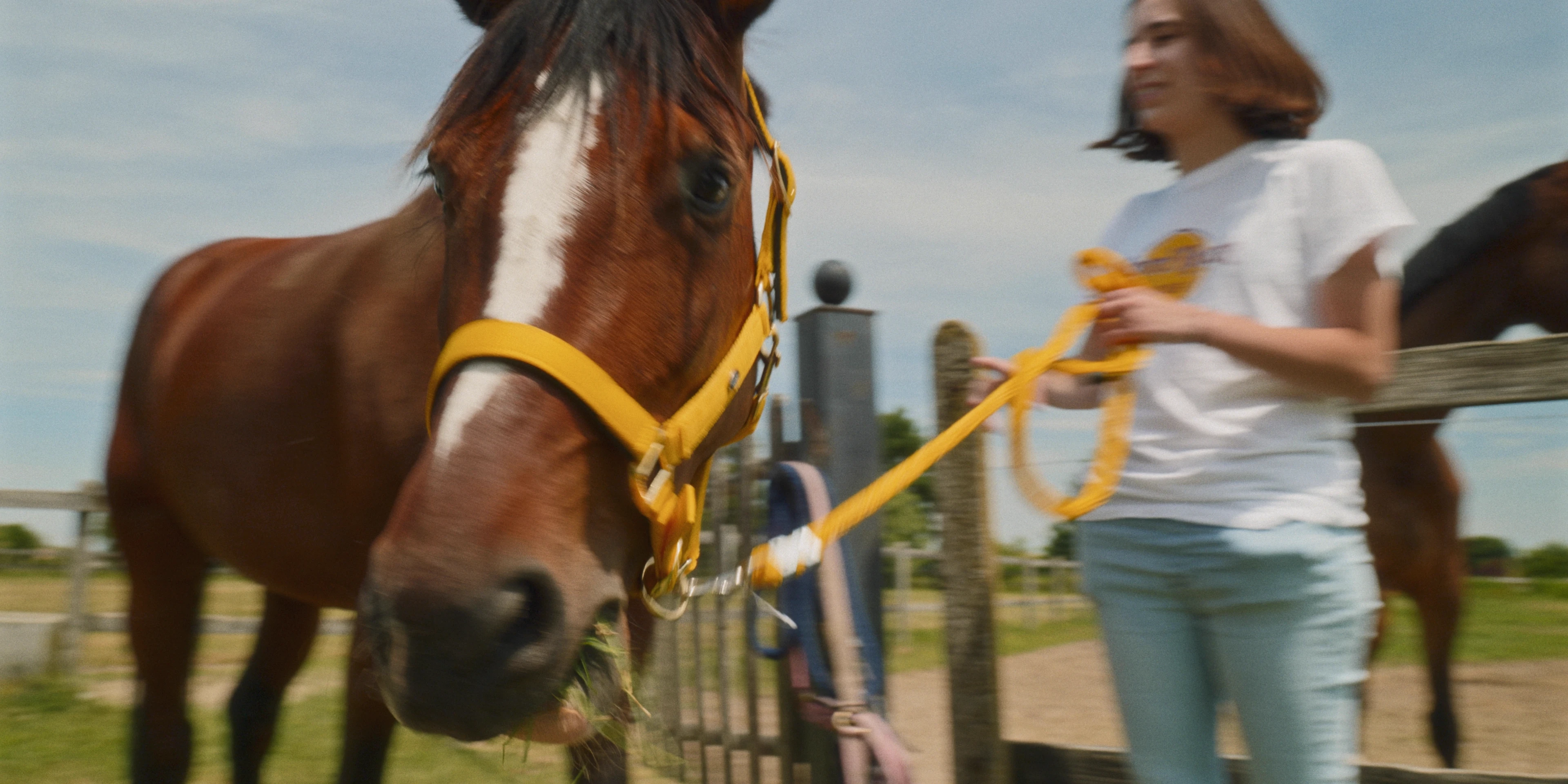 Macello Horse BTS detail 8